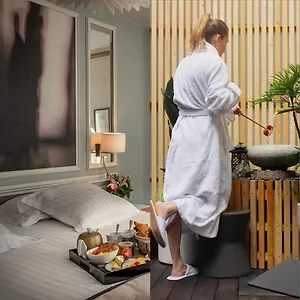 بيست ويسترن بريمير ليترير لي سوان 4* باريس