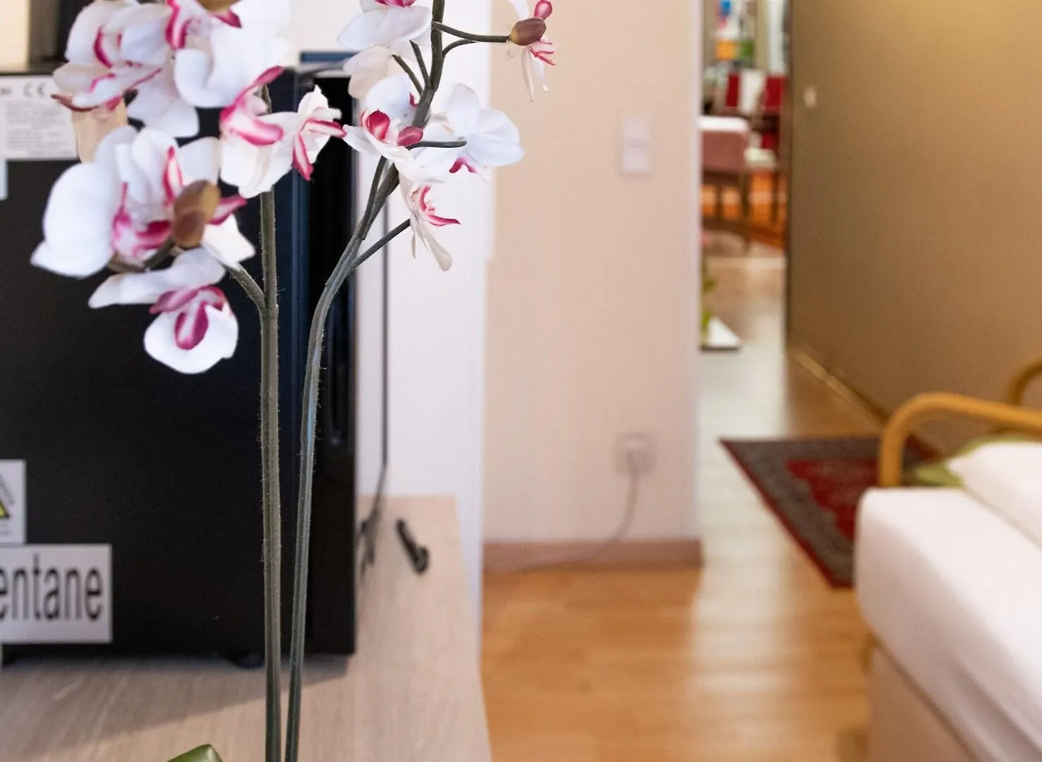 Pension Hotel Mariahilf Vienna 3*,